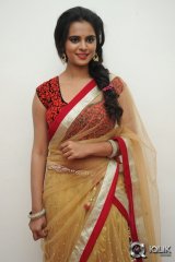 Manasa at Rowdy Fellow Movie Audio Launch